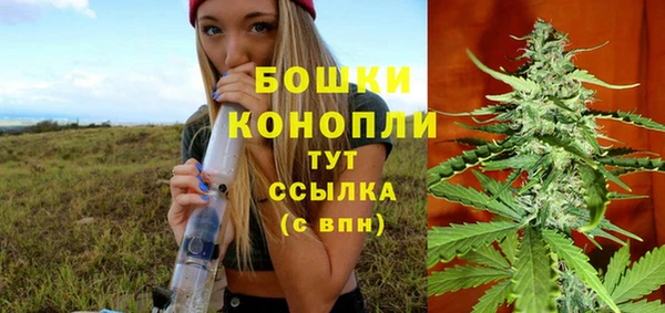 соль курить ск Каменка